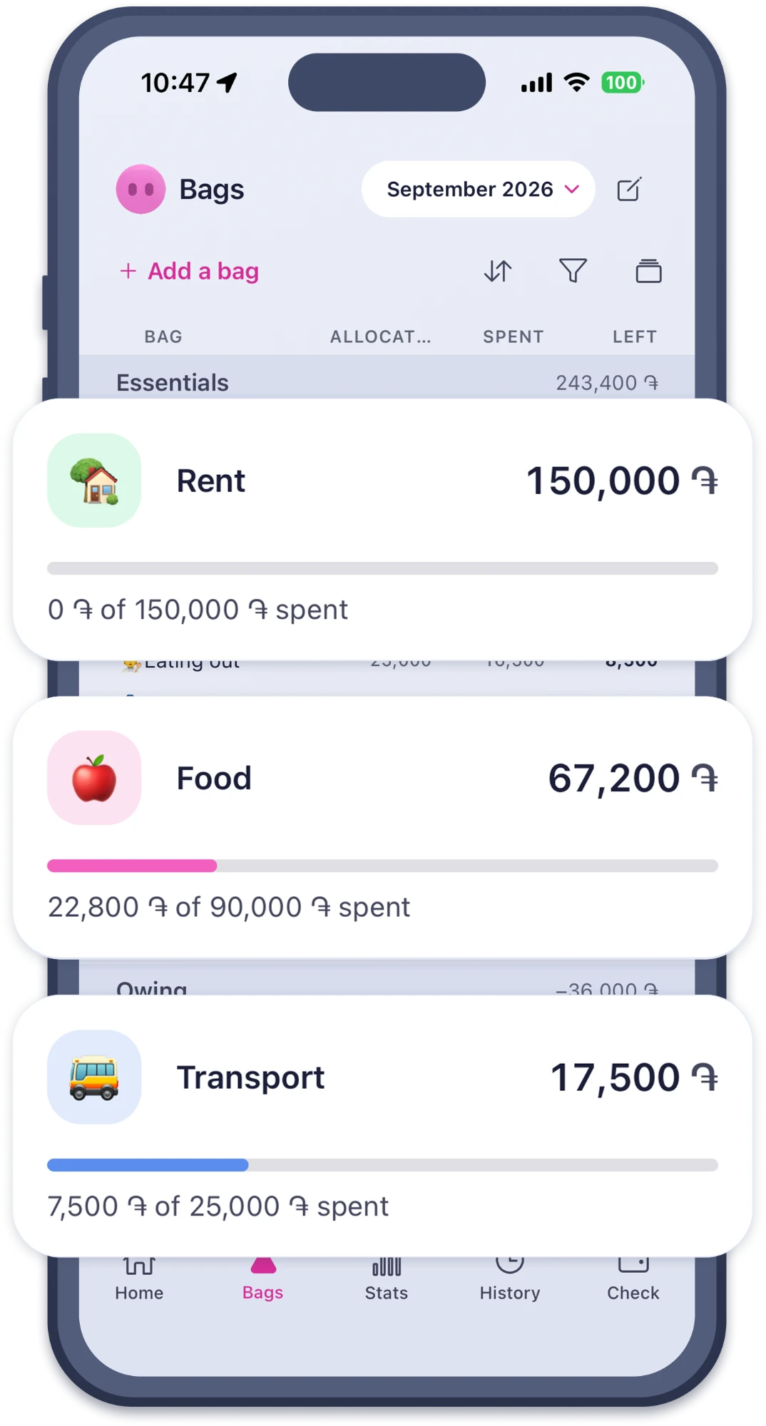 The bags list, with rent, food and transport lifted out: each shows what is left and how much of it is spent